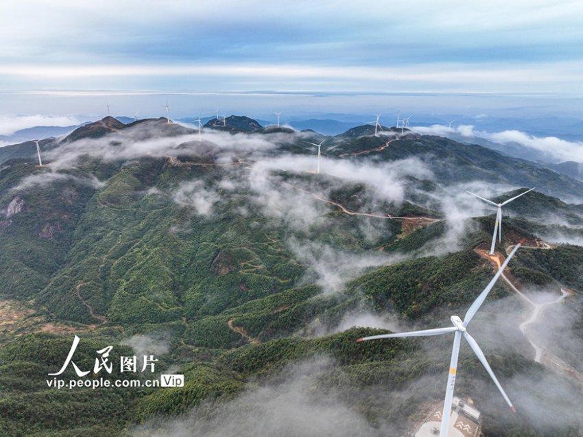 洋葱怎么做最好吃？游戏画面